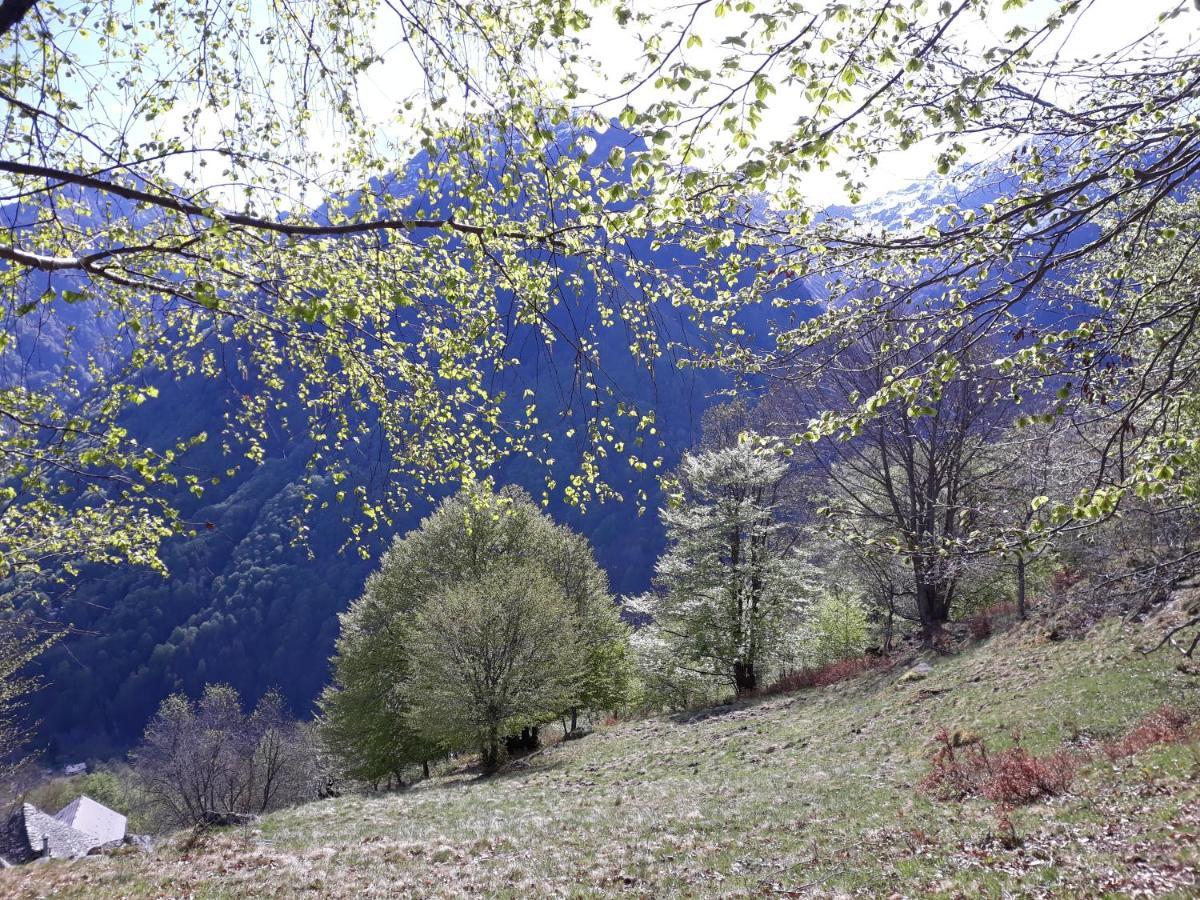 Casa All'Alpe Gaggetto B & B Anzino Экстерьер фото