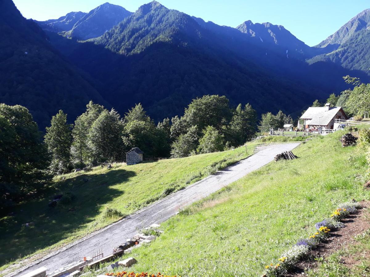 Casa All'Alpe Gaggetto B & B Anzino Экстерьер фото