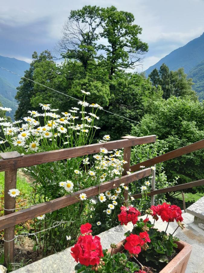 Casa All'Alpe Gaggetto B & B Anzino Экстерьер фото
