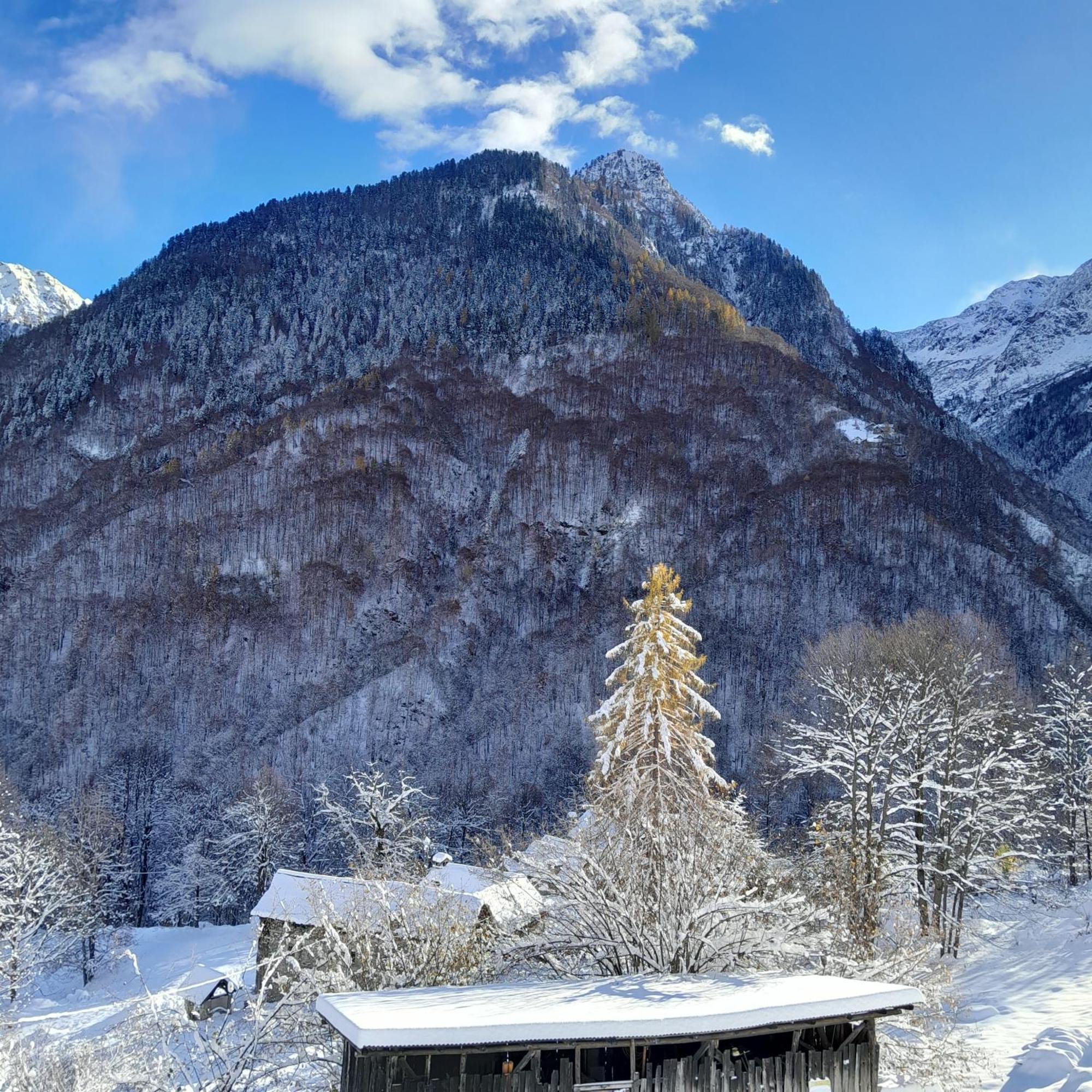 Casa All'Alpe Gaggetto B & B Anzino Экстерьер фото